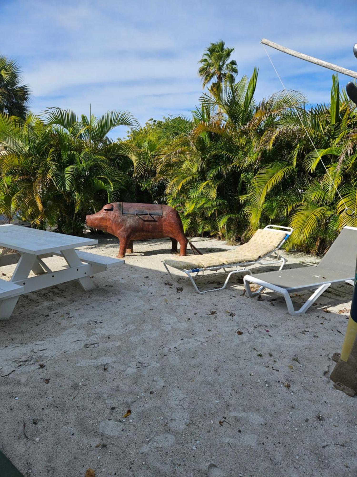סיינט פיט ביץ' Oasis Palms Resort מראה חיצוני תמונה